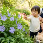 ニチニチソウの毒性を解説！子供やペットへの注意点と安全な育て方