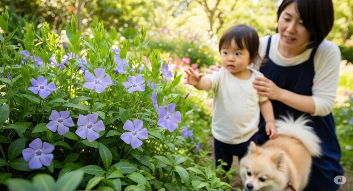 ニチニチソウの毒性を解説！子供やペットへの注意点と安全な育て方