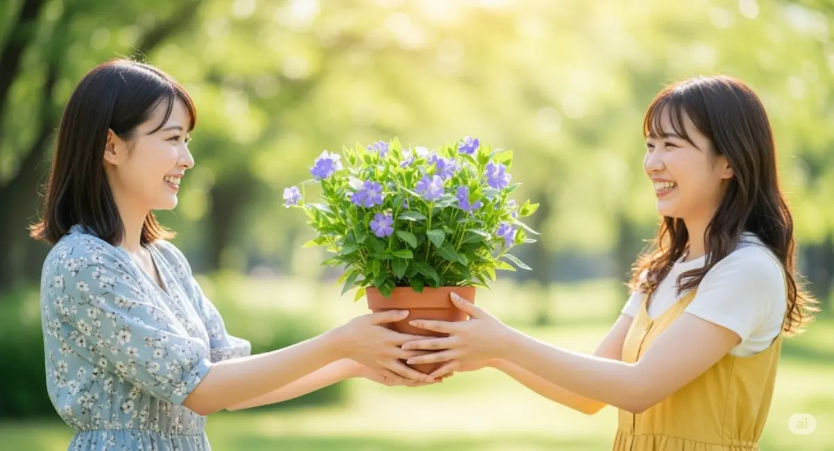 毒性とは違うニチニチソウの花言葉