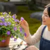 ニチニチソウの育て方と摘心のコツ｜花を増やす簡単なお手入れ