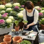 葉牡丹の挿し木と育て方は？時期や方法、成功のコツを解説