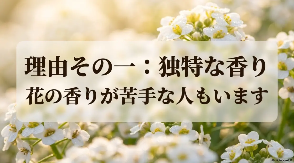 アリッサムの花の独特な香りが苦手な人もいるという解説スライド