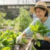ほうれん草の種まきのコツ｜初心者でも失敗しない育て方