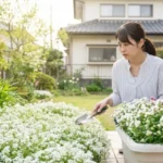 アリッサムを植えてはいけない理由と対策をわかりやすく解説