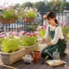 プランターでのコスモスの育て方は？初心者向け種まきから管理まで