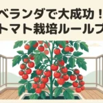 ベランダで大成功！ミニトマト栽培ルールブックの表紙