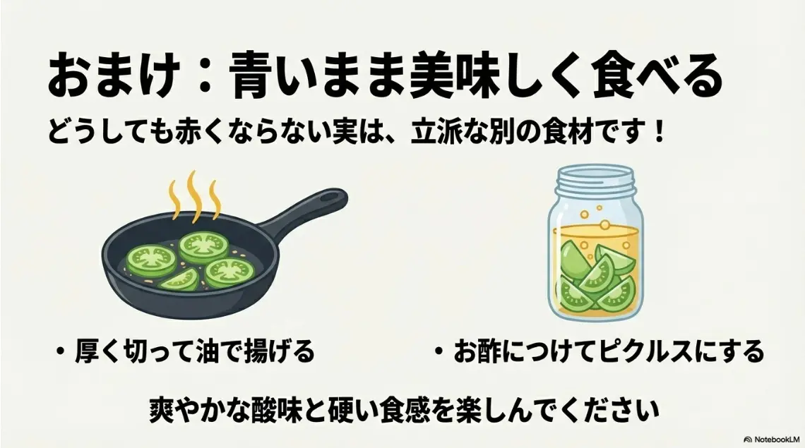 赤くならなかった青いトマトを厚く切って油で揚げたりピクルスにしたりして楽しむ方法