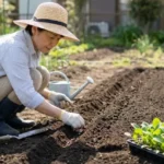 ほうれん草の種まきのコツを徹底解説！失敗しない準備と発芽の手順