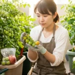 ミニトマトが赤くならない！原因とすぐできる対策・追熟のコツ
