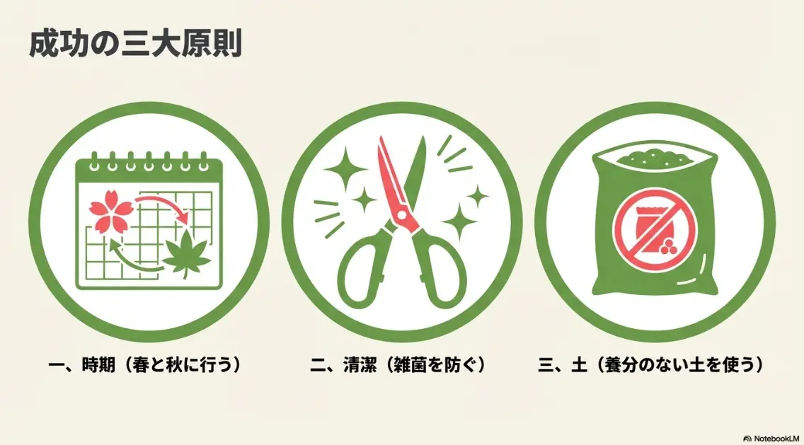 カーネーションの挿し木に適した時期である6月と9月〜10月の解説