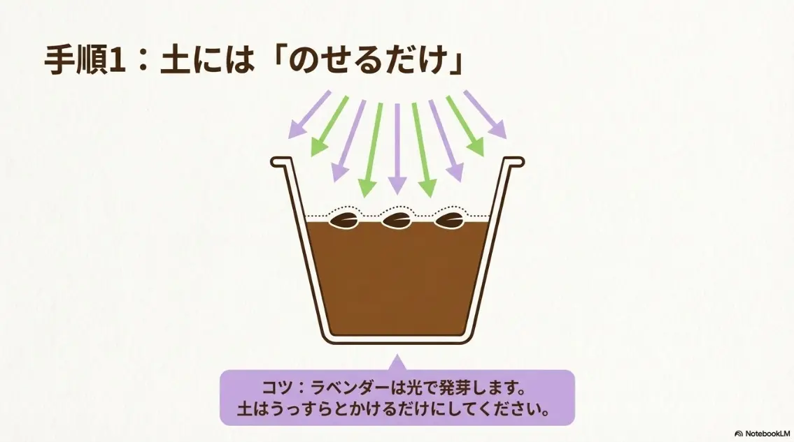 ラベンダーは光で発芽するため、土にはのせるだけでうっすらとかける手順