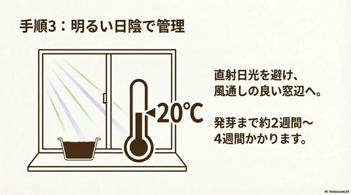 直射日光を避けた風通しの良い明るい日陰で、20度を保ち2〜4週間管理する手順