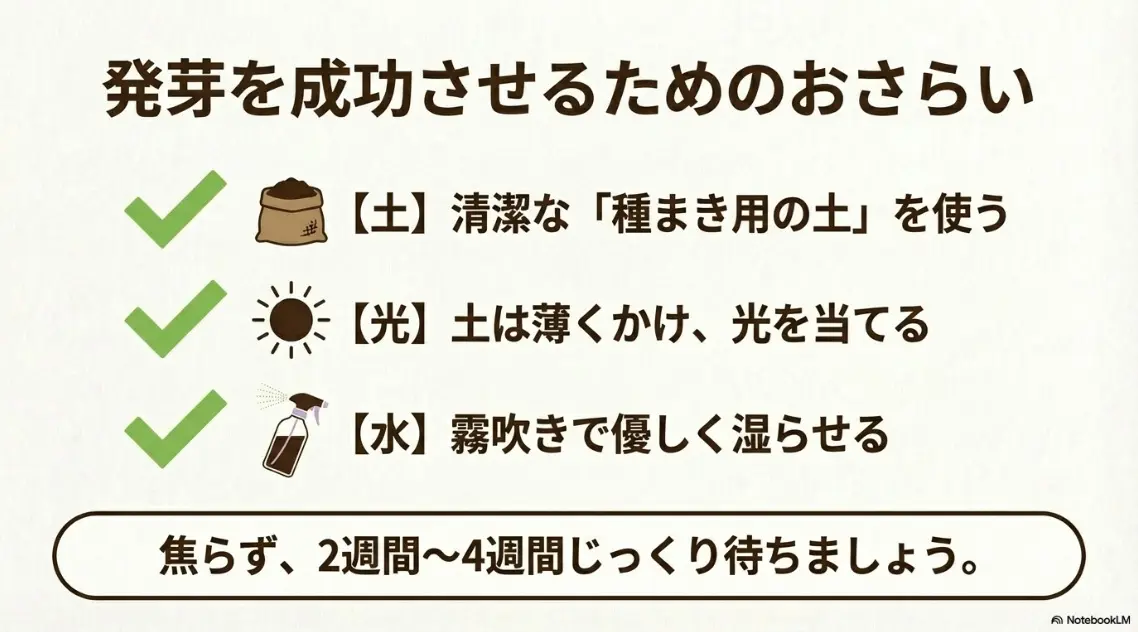 清潔な土、適度な光、霧吹きでの水やりなど、ラベンダーの発芽を成功させるためのおさらい