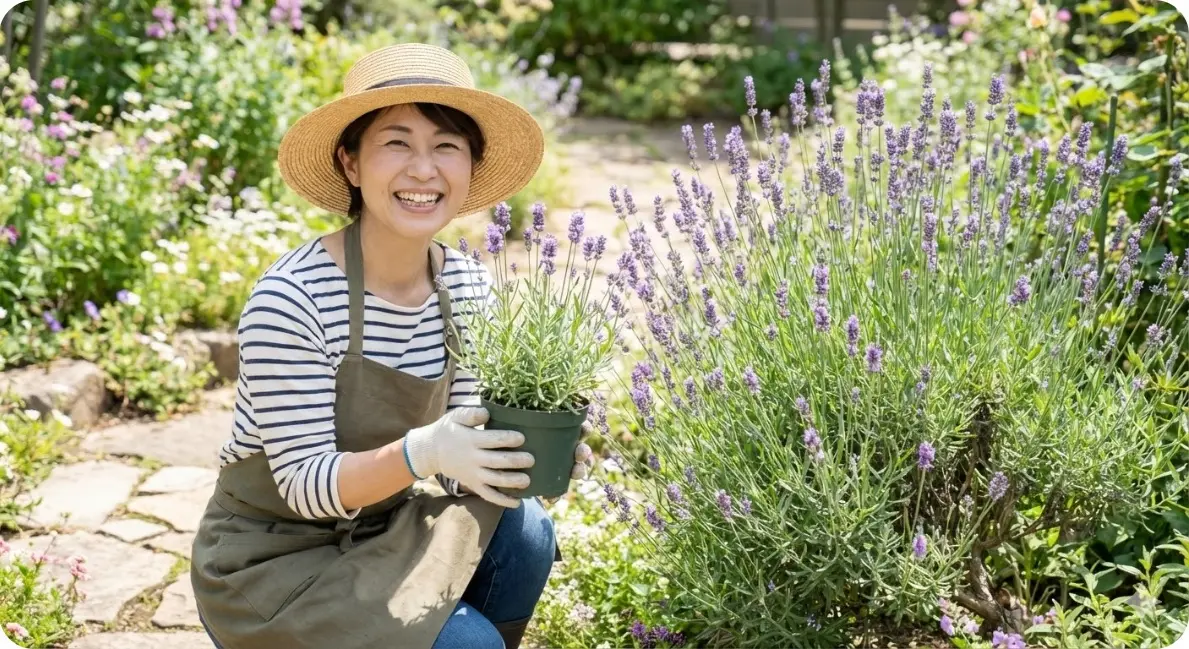 初心者の地植えにおすすめの品種は？