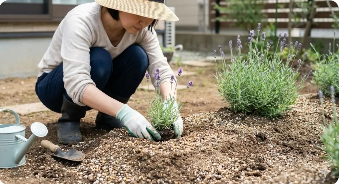 失敗を防ぐ地植えの注意点は？