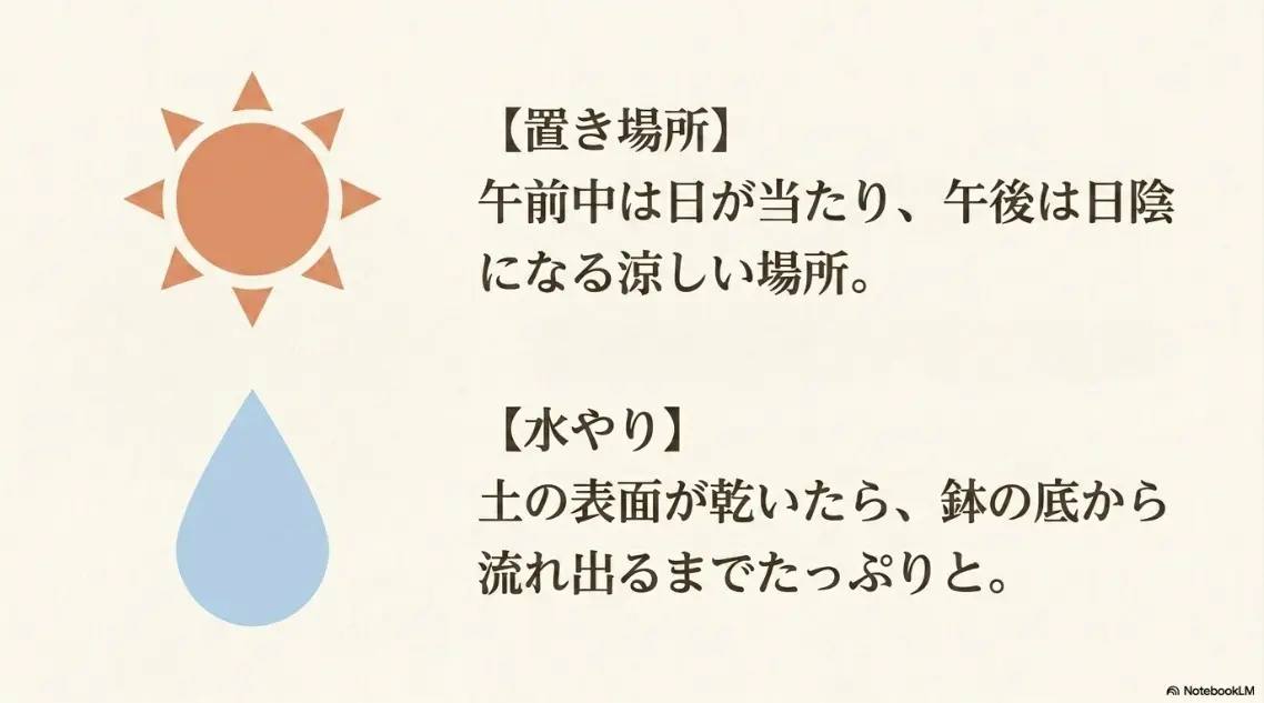 紫陽花コットンキャンディの置き場所と水やりの基本