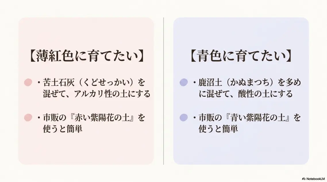 薄紅色や青色に育てるための紫陽花の土づくりと苦土石灰・鹿沼土の活用