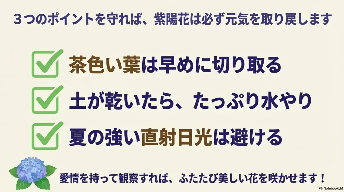 葉のカット、水やり、日差し対策の3点を守ることで紫陽花を元気にするまとめのスライド