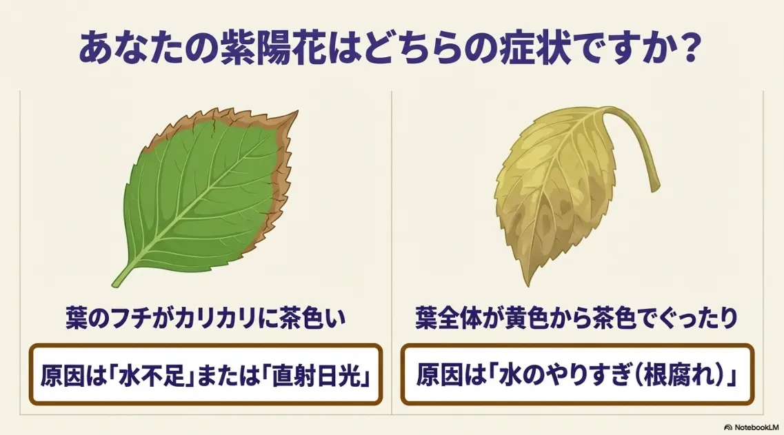 葉の縁が茶色い場合と全体が黄色い場合の、症状から見る原因の違いを解説した比較スライド