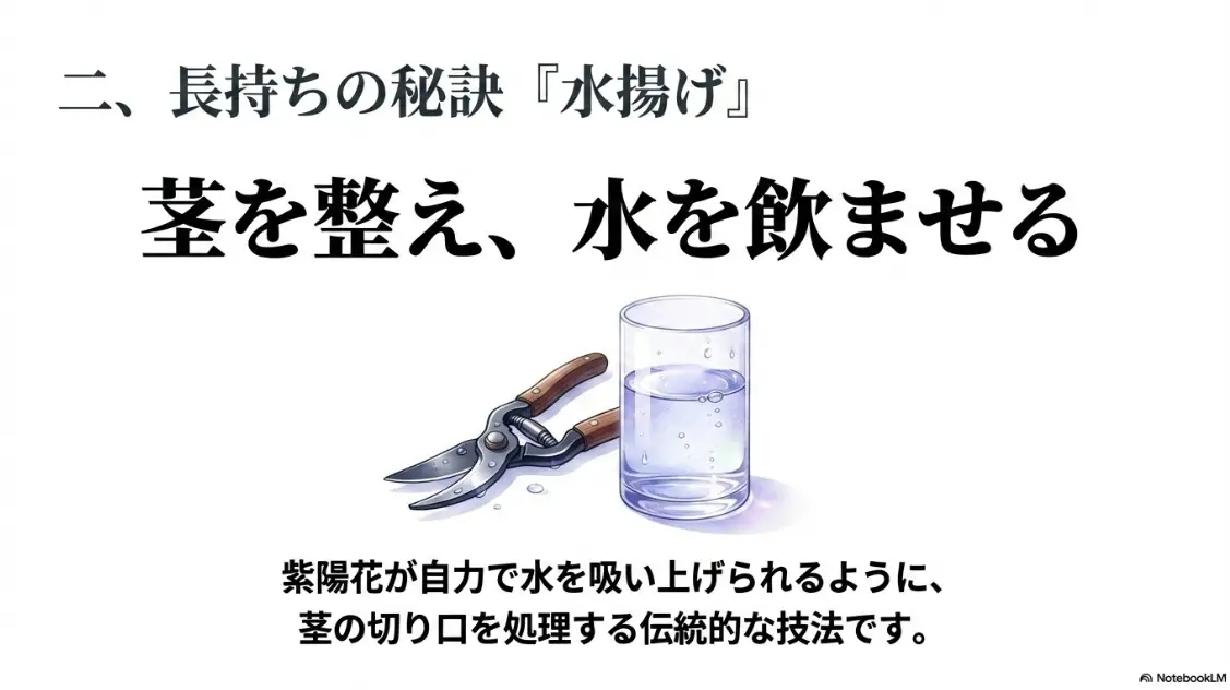 紫陽花を長持ちさせる秘訣「水揚げ」とは、茎を整え自力で吸水させる技法