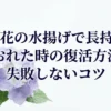紫陽花の水揚げで長持ち！しおれた時の復活方法と失敗しないコツ