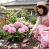 紫陽花をアルカリ性でピンク色に！失敗しない土作りと肥料のコツ