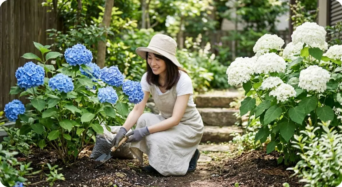 土で色が変わる紫陽花の品種と変わらない花とは？