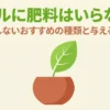 バジルに肥料はいらない？失敗しないおすすめの種類と与える時期