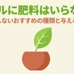 バジルに肥料はいらない？失敗しないおすすめの種類と与える時期