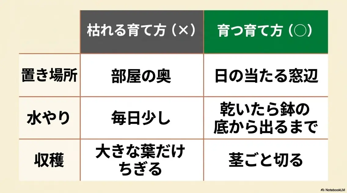 置き場所、水やり、収穫方法について、枯れる原因となるNG例と成功するOK例をまとめた比較表