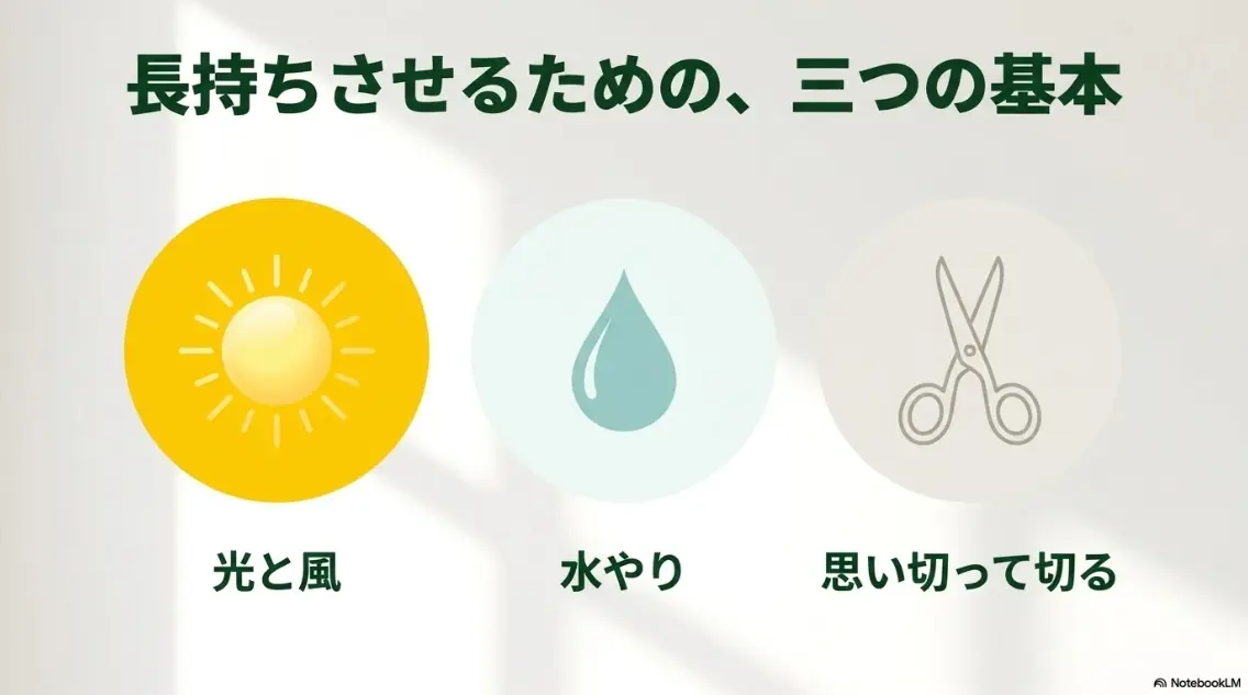 光と風、水やり、思い切って切る（剪定）という、バジルを長持ちさせるための3大要素