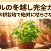 バジルの冬越し完全ガイド！室内や水耕栽培で枯らさないコツ