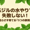 バジルの水やりで失敗しない！枯らさず育てる「5つの鉄則」のタイトルスライド。