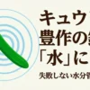 キュウリ大豊作の鍵は水にあり 失敗しない水分管理の極意