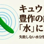 キュウリ大豊作の鍵は水にあり 失敗しない水分管理の極意