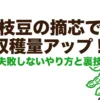 枝豆の摘芯で収穫量アップ！失敗しないやり方と裏技