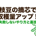 枝豆の摘芯で収穫量アップ！失敗しないやり方と裏技