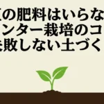 枝豆の肥料はいらない？プランター栽培のコツと失敗しない土づくりのタイトル画像