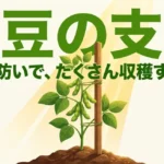 枝豆の支柱 倒伏を防いでたくさん収穫する秘訣