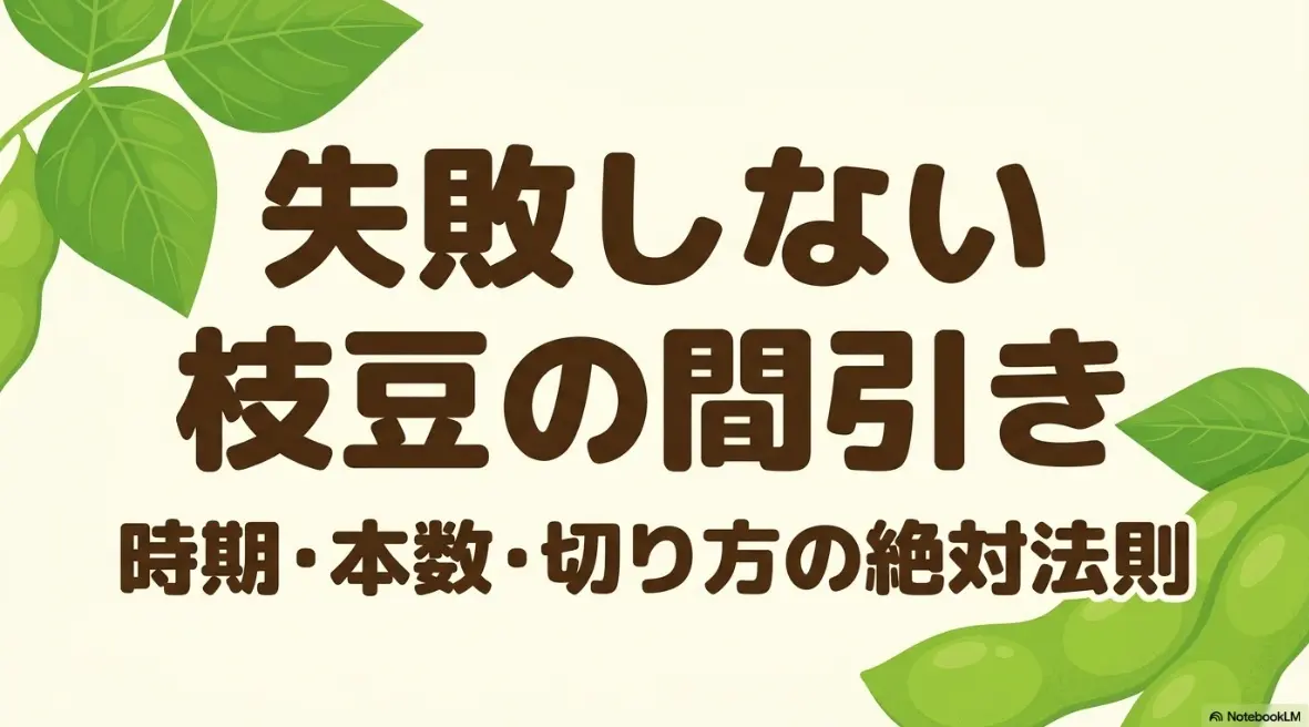 失敗しない枝豆の間引き！時期・本数・切り方の絶対法則