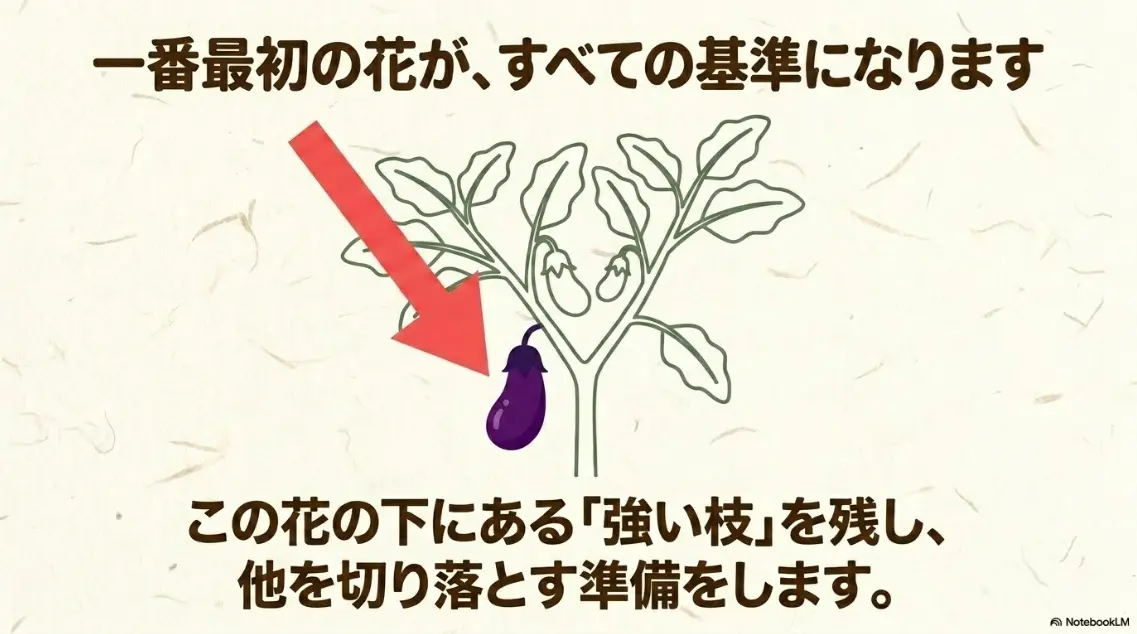 一番最初の花を基準に強い枝を残す方法