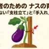 初心者のためのナスの育て方 失敗しない支柱立てと手入れの要点