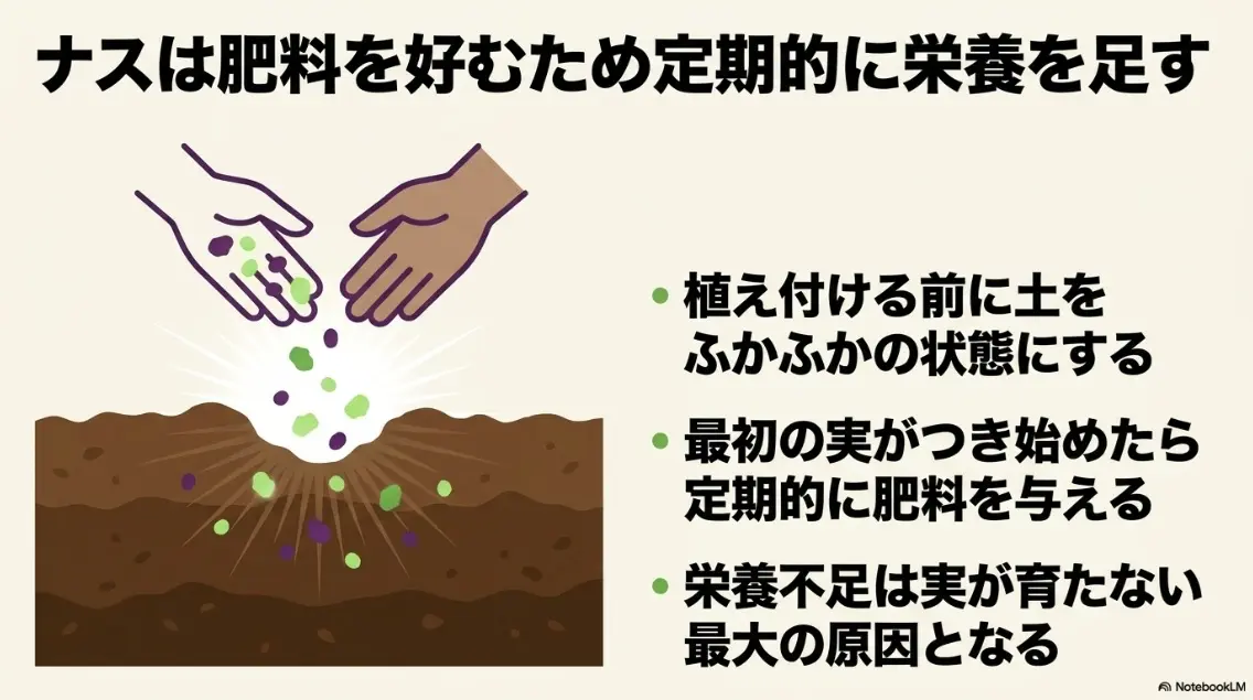 ナスは肥料を好むため定期的に栄養を足す