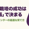 ナス栽培の成功は間隔で決まる