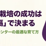 ナス栽培の成功は間隔で決まる