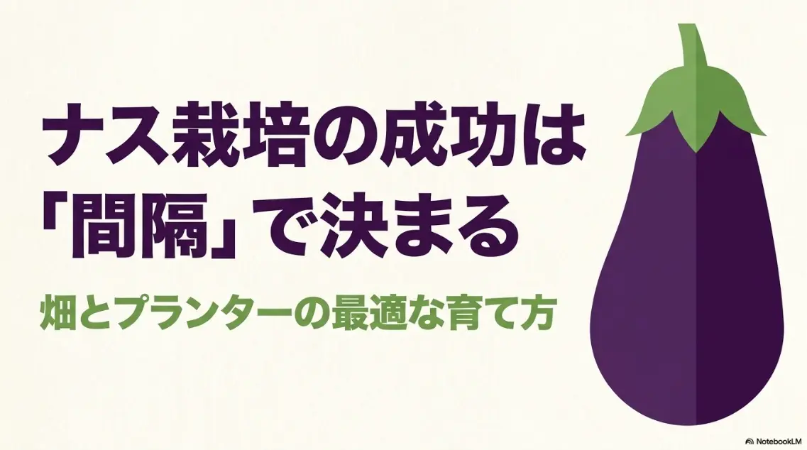 ナス栽培の成功は間隔で決まる