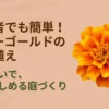 初心者でも簡単なマリーゴールドの寄せ植えガイドの表紙