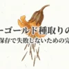 マリーゴールド種取りの時期と保存手順を示すタイトルスライド
