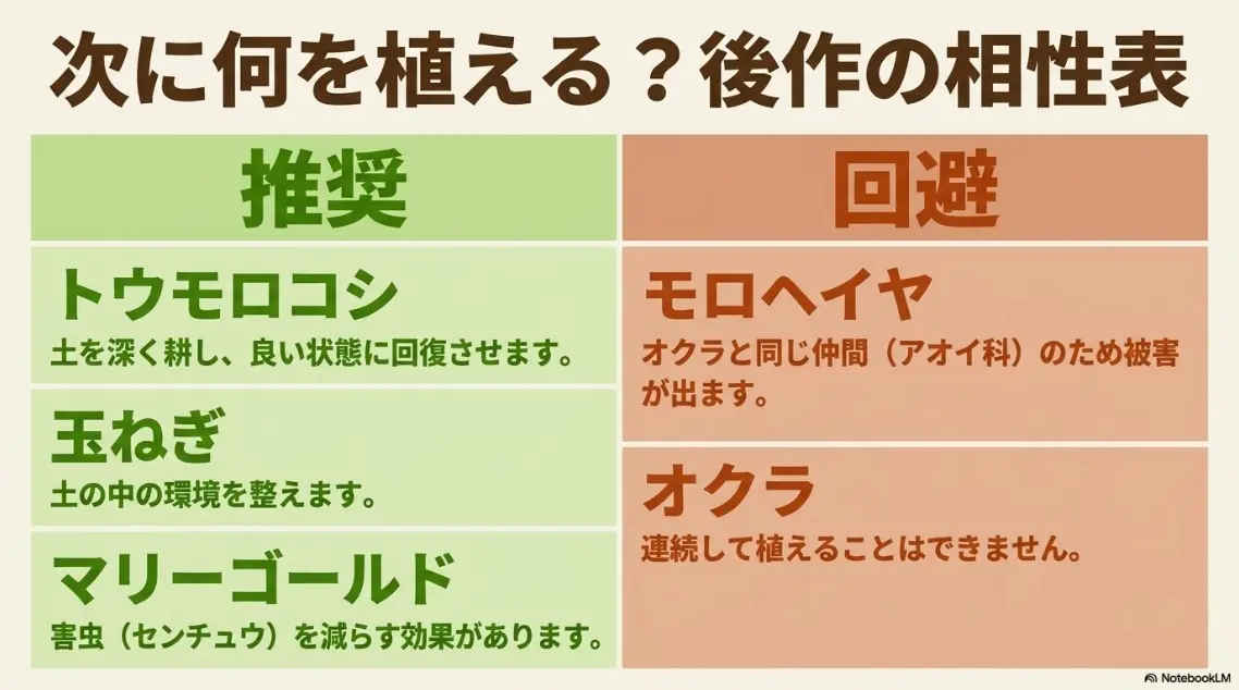 オクラの後作におすすめの野菜と避けるべき野菜の相性表