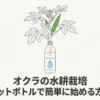 ペットボトルで簡単に始めるオクラの水耕栽培